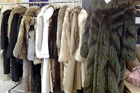 15 fur 2012-01-28 12