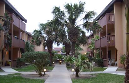 100_1130 APT WITH PALMS