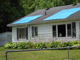 A house with trees in the background

Description automatically generated